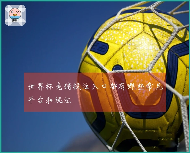 世界杯竞猜投注入口都有哪些常见平台和玩法