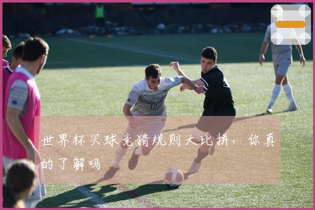 世界杯买球竞猜规则大比拼，你真的了解吗