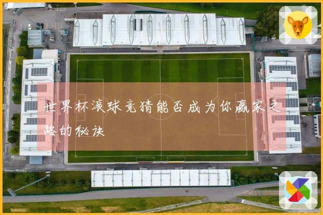 世界杯滚球竞猜能否成为你赢家之路的秘诀