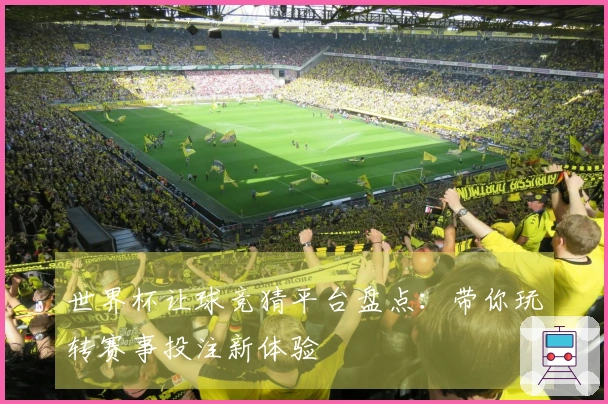 世界杯让球竞猜平台盘点：带你玩转赛事投注新体验