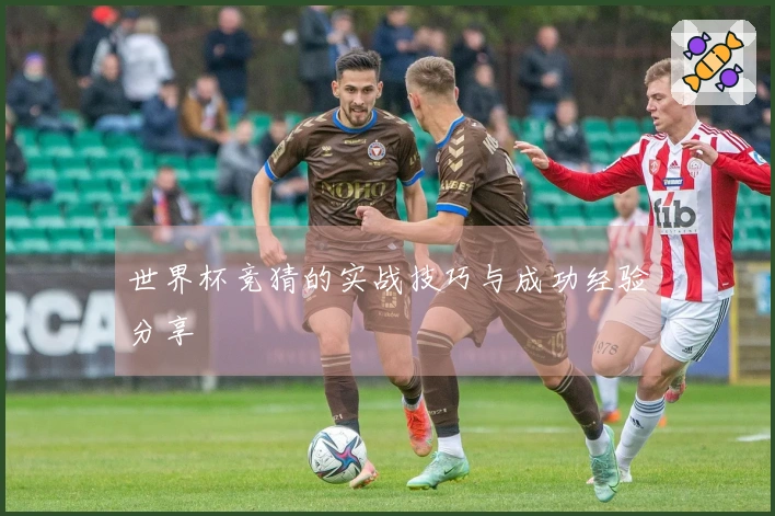 世界杯竞猜的实战技巧与成功经验分享